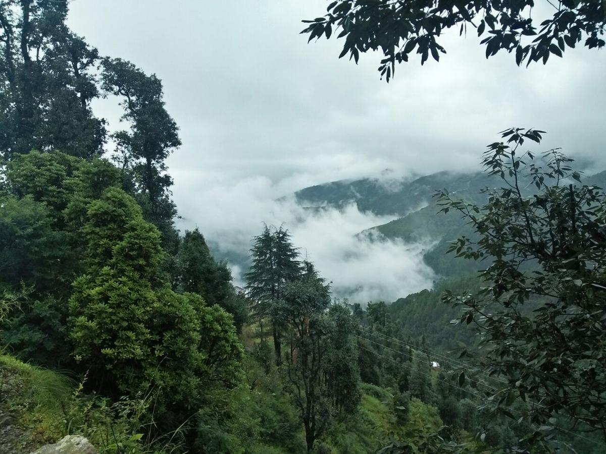 Oyo 11877 Royal Residency Hotel New Tehri ห้อง รูปภาพ